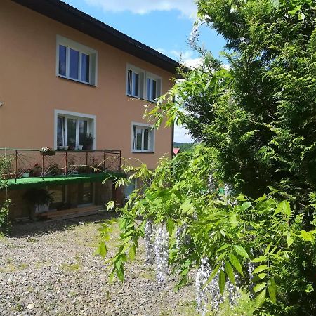 Noclegi Pod Lasem Solina 20 ภายนอก รูปภาพ