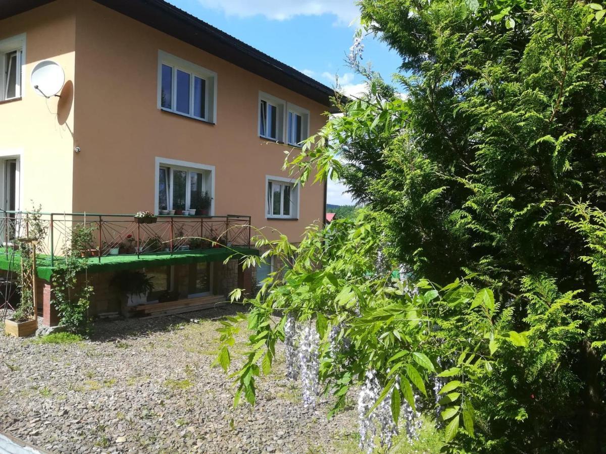 Noclegi Pod Lasem Solina 20 ภายนอก รูปภาพ