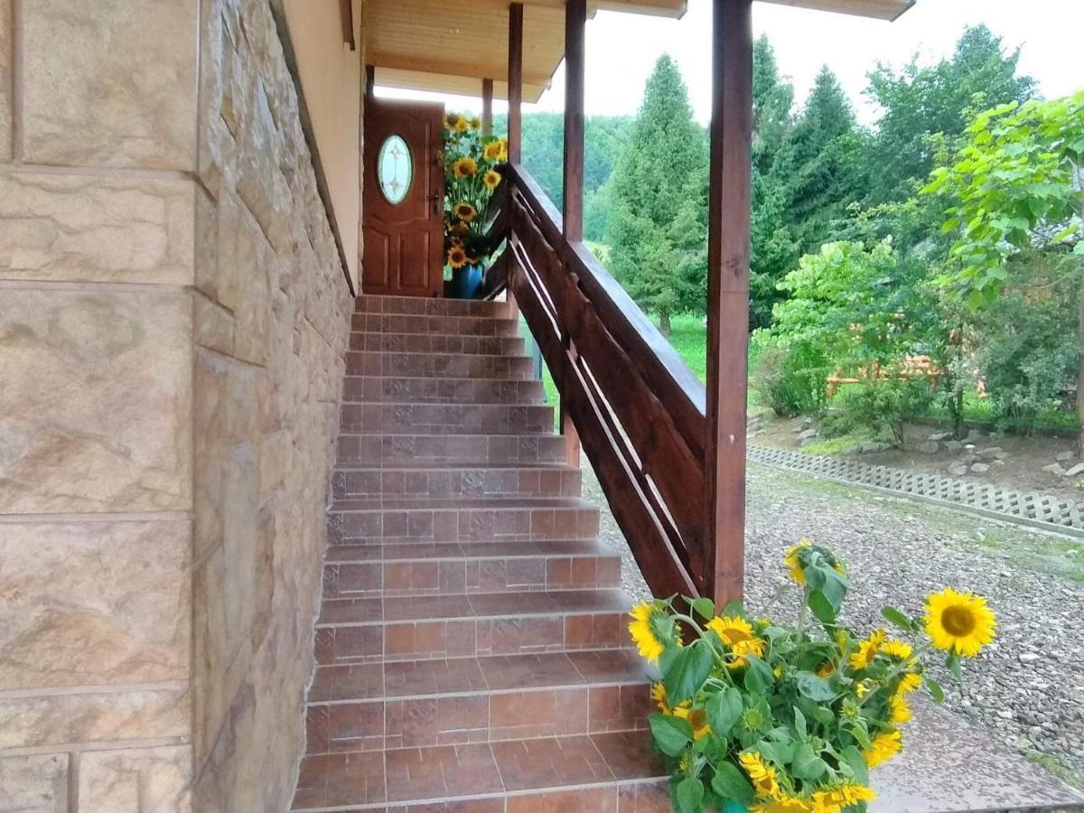 Noclegi Pod Lasem Solina 20 ภายนอก รูปภาพ