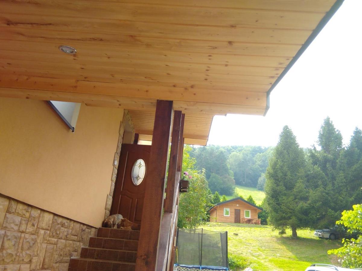 Noclegi Pod Lasem Solina 20 ภายนอก รูปภาพ